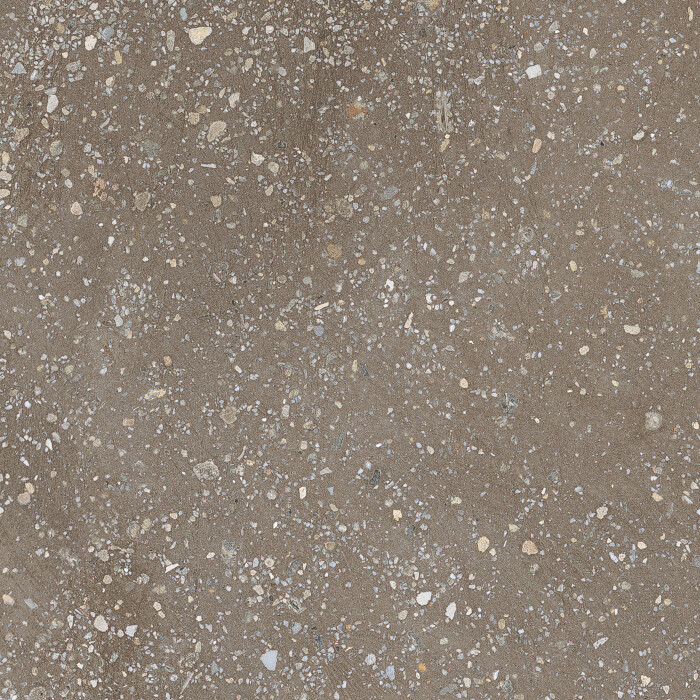 COSMOS CHOCOLATE SP/22,3