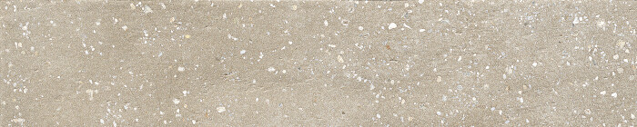 TRACE TAUPE PLAIN/6X30