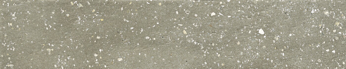 TRACE GREEN PLAIN/6X30